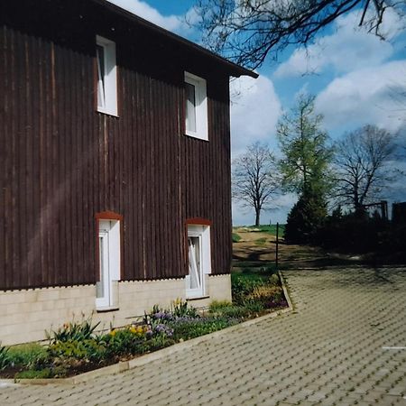 Falkenstein Reinhardtsdorf-Schona Esterno foto