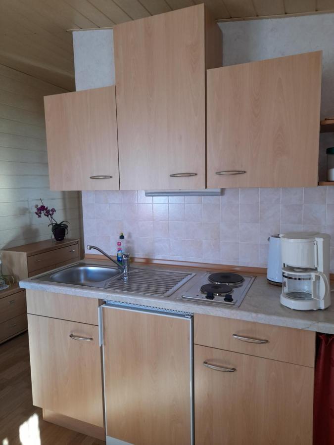 Falkenstein Reinhardtsdorf-Schona Esterno foto